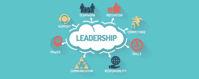 leadership as a project management skills