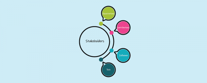 what is stakeholder analysis